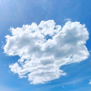 Explosión de Algodón