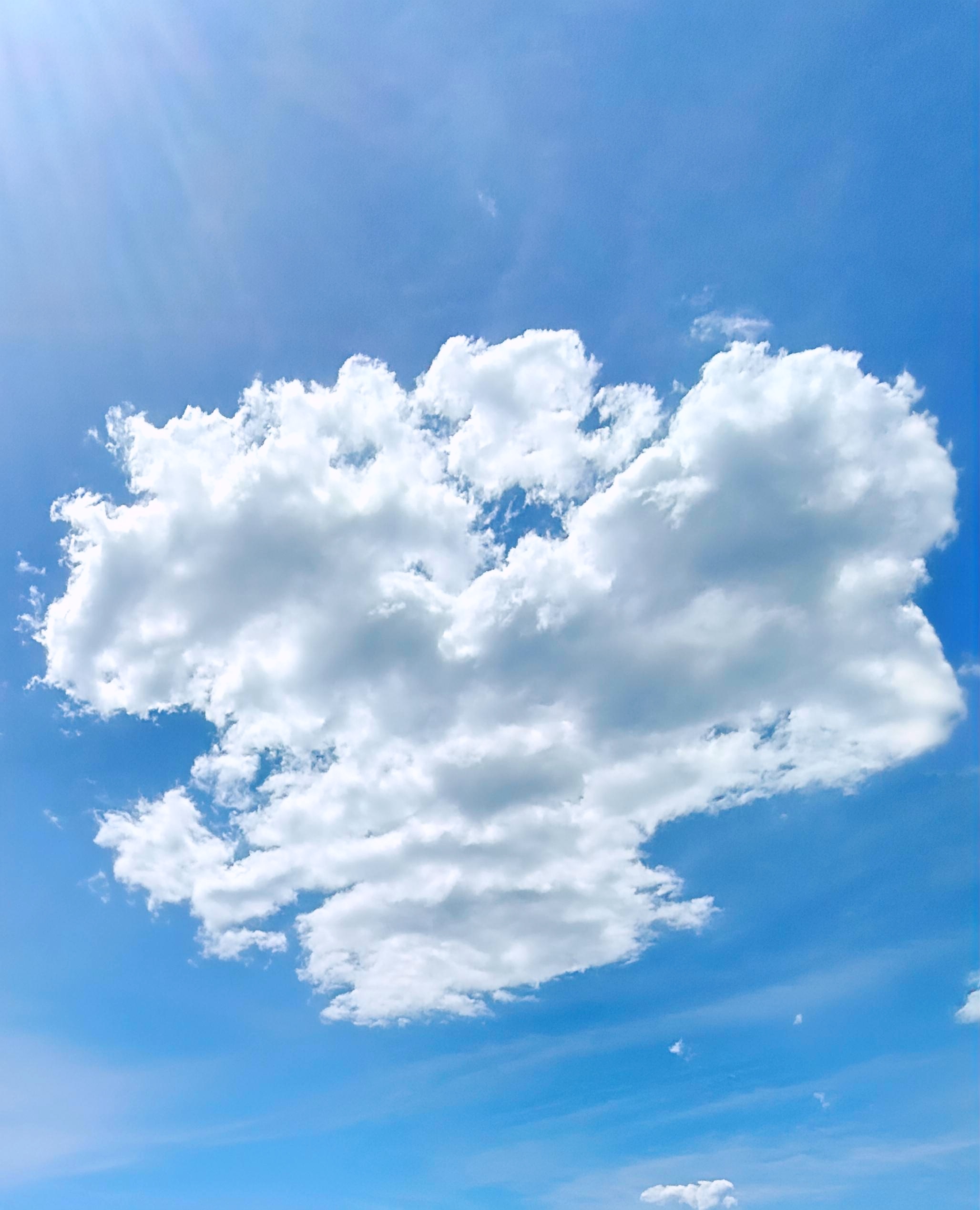 Explosión de Algodón