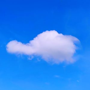 Guardiana del Tiempo