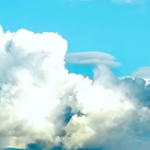 Constelación de Algodón