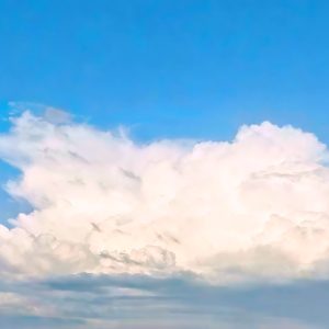 Rebaño de los Dioses