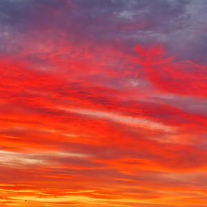 Llamas del Crepusculo